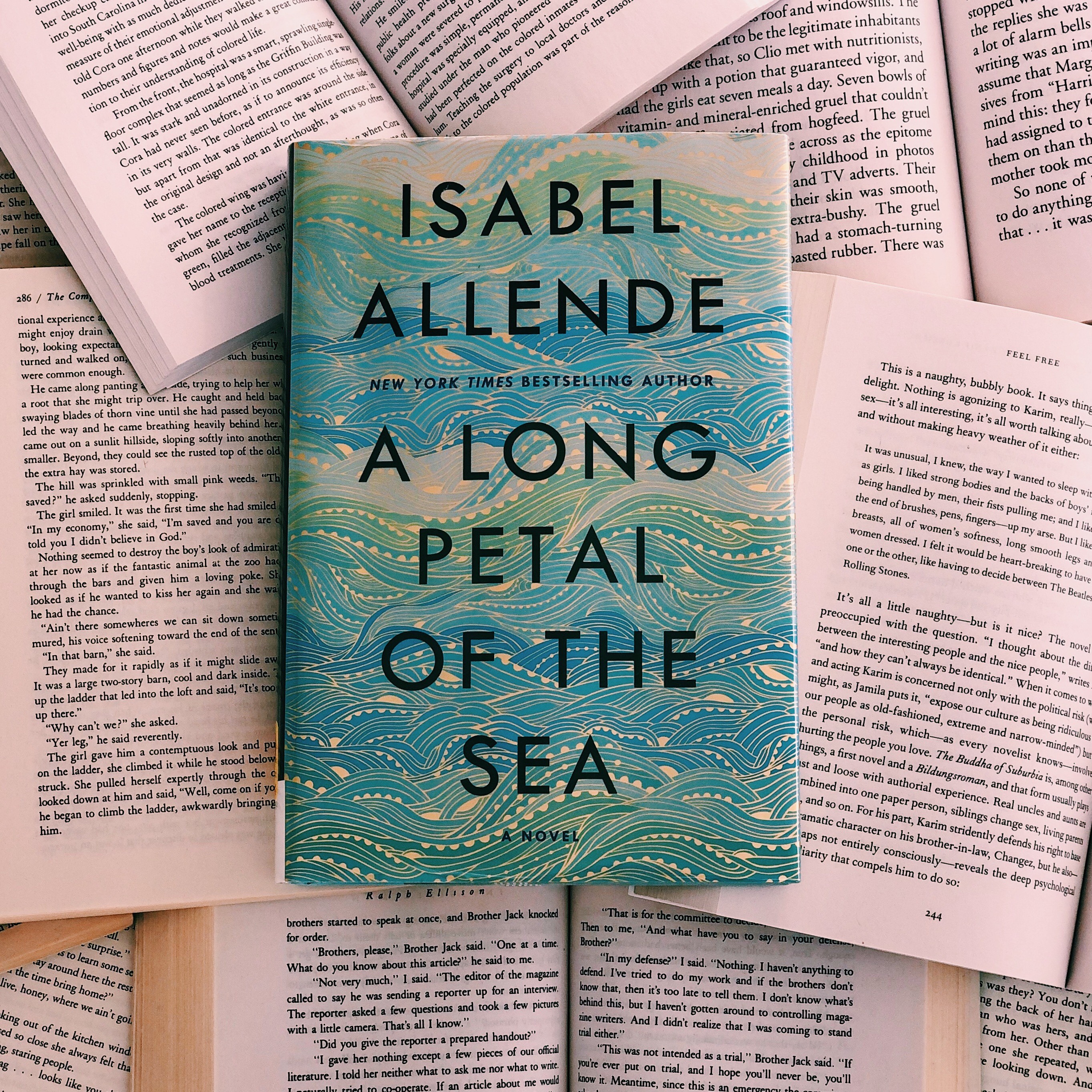 isabel allende a long petal of the sea summary isabel allende a long petal of the sea summary
